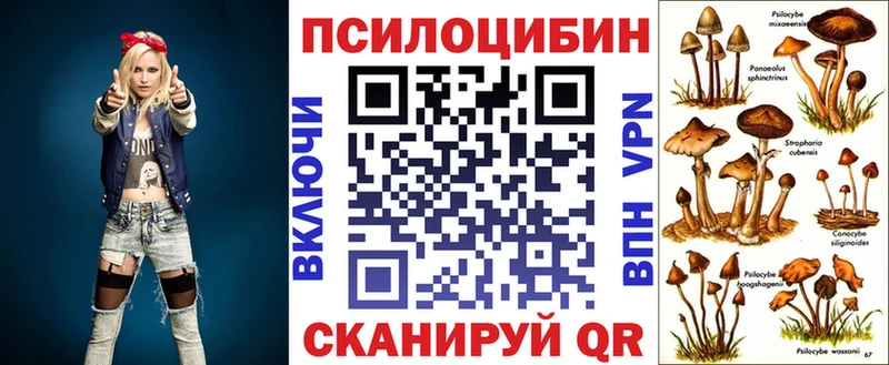 Галлюциногенные грибы Psilocybe  Купить закладки  Лакинск 