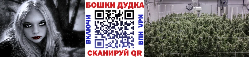 Купить  Лакинск  Канабис VHQ 
